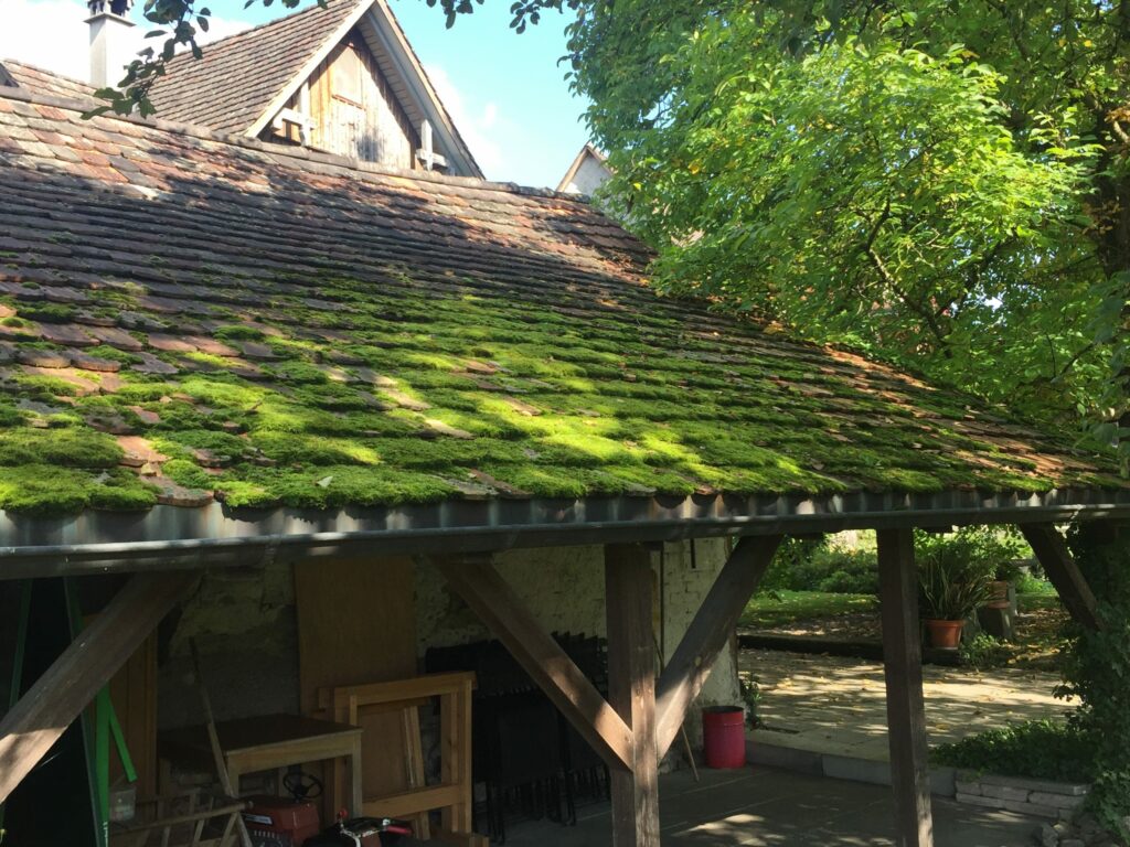 Dachunterhalt & Reparaturen